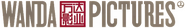 Wanda Pictures Logo