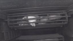 Dominion (2018): Pig Gas Chamber