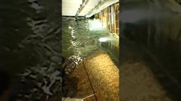 See how they brought the flooding of the Titanic to life on the big screen!