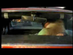 Eat My Dust - Trailer