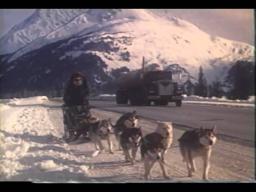 Sourdough Trailer 1993