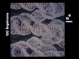 Powers of Ten™ (1977)