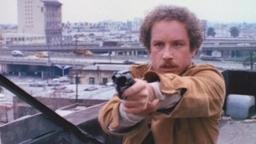 The Big Fix (1978) ORIGINAL TRAILER