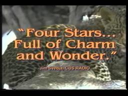 The Leopard Son Trailer 1996