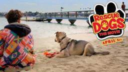 RESCUE DOGS - Official Trailer
