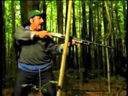 Holler Creek Canyon Trailer