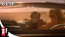 Wild At Heart (1990) - Why We Love It