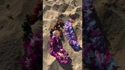 Things in Hawaii That Just Make Sense