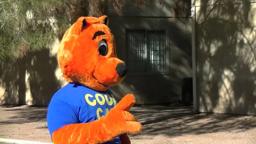 Cool Cat Safety scene from "Cool Cat Fight Coronavirus".