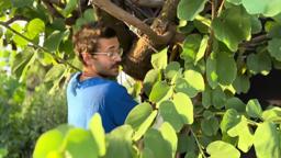 Making of Goodwin Island 43