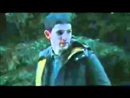 Island Trailer 2011