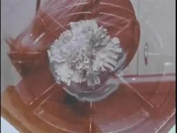 LSD: Insight or Insanity (Max Miller, 1968)