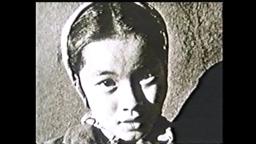 Excerpt: WATARIDORI: BIRDS OF PASSAGE by Robert Nakamura