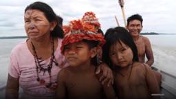 Protecting the Amazon Demands Radical Change