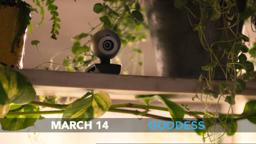 Goddess (2013) Unleash Your Inner Goddess Clip [HD]