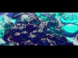 Shane Carruth on the Visual Language of  "Upstream Color"