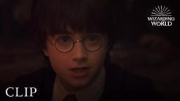 Harry & Professor Snape's First Argument