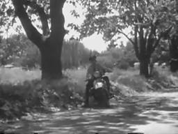 Dead Reckoning trailer