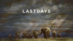 Last Days Film
