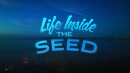 Life Inside the Seed Trailer