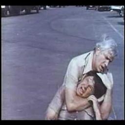 "Project: Kill" starring Kung-Fu Leslie Nielsen!