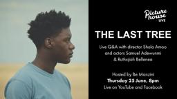 The Last Tree Q&A with Shola Amoo, Samuel Adewunmi and Ruthxjiah Bellenea