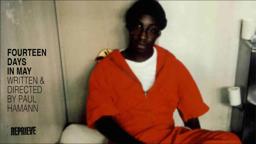 Fourteen Days in May preview