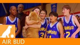 Air Bud Sports News - Model Teammate