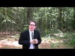 Vampires Vs. Zombies Trailer