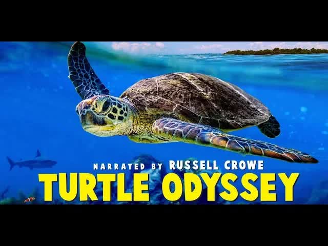 Turtle Odyssey - Official Trailer