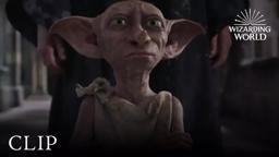 Dobby is a Free Elf