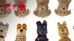 "I Love Dogs" TV Commercial