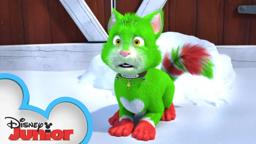 Official Trailer! 🎄| Spookley and the Christmas Kittens | Disney Junior