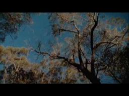 BAD BUSH MOVIE TRAILER