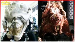 Behind The Scenes: Creating The Licker