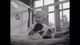 London Symphony (1955) | BFI National Archive