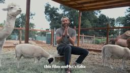 We rescued Lambs from Ritual Slaughter! Plus, Red Carpet Giveaway!