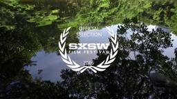 IN PURSUIT OF SILENCE (official trailer)