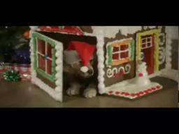 Disney's Santa Buddies Trailer