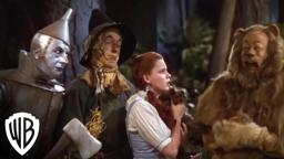 Dorothy Meets The Cowardly Lion