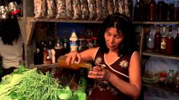 Ayahuasca Diary trailer