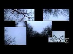 Critics' Picks - NYTimes.com - The Tracey Fragments