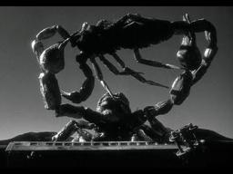 Joe Dante on THE BLACK SCORPION