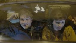 Hatchback - Trailer