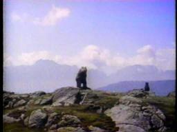 CTV Special Movie bumper The Bear 1992