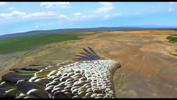 Earthflight - Official Trailer