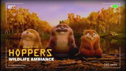 Wildlife Camera 10hr Nature Ambiance