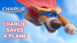 Super Dog's Biggest Rescue YET