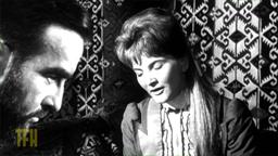 Howard Rodman on FREUD: THE SECRET PASSION