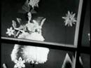 Suzy Snowflake